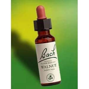  Nelson Bach   Walnut Flower Essence 20 ml Health 