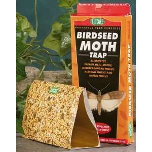 Springstar BioCare Birdseed Moth Traps S204 Patio, Lawn & Garden