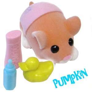   Toys   Zhu Zhu Hamster Babies and Accessories Pumpkin Toys & Games