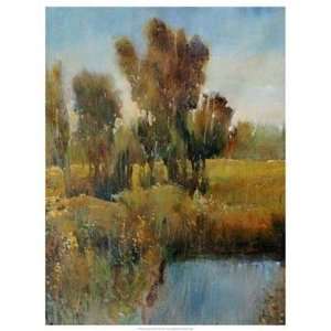  Sunkissed Field I Tim OToole. 19.00 inches by 25.00 