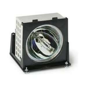  Electrified 915P020010 O Series Replacement Lamp 