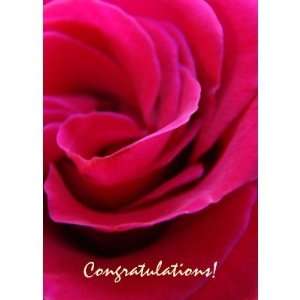    Cards Pin Rose Flower Weddings