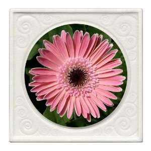 Thirstystone AP7088 Ambiance Set of 4 Absorbent Coasters Gerber Daisy 