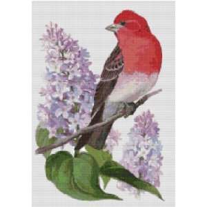   State Bird and Flower Counted Cross Stitch Pattern Arts, Crafts