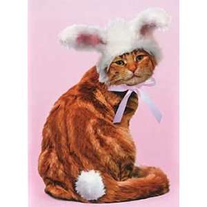  Cat in Bunny Ears Easter Card 