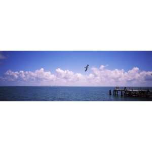  Pier over the Sea, Fort De Soto Park, Tampa Bay, Gulf of 