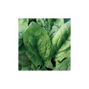 Viroflay Spinach   pack  Grocery & Gourmet Food
