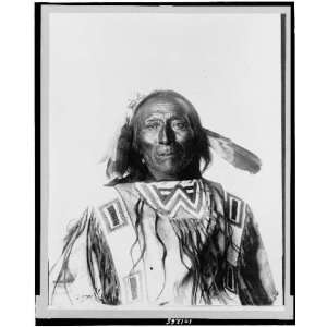  Chief Revenger,feather,Crow Indians,North America,Natives 