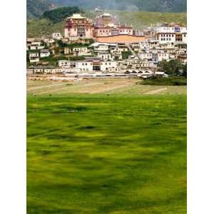  Monastery in Hills, Zhongdian, Shangri La County, Yunnan 