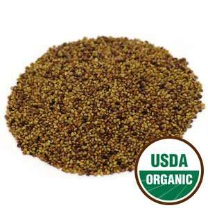 Organic Sprouting Seeds Red Clover 1 Pound  Grocery 