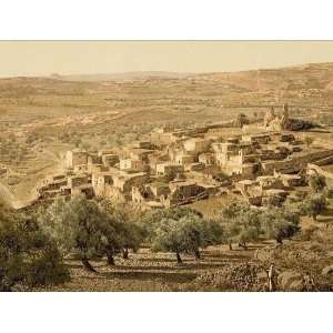   Poster   General view Bethany Holy Land (i.e. West Bank) 24 X 18.5