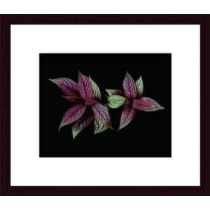     Purple Leaves   Artist Rosemarie Stanford  Poster Size 11 X 14