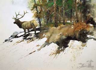 High Elk Country by Morten Solberg S/N  