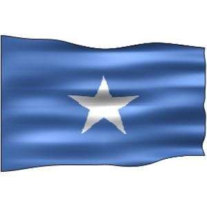  Flag Somalia