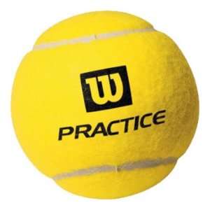  Wilson Practice Tennis Balls (Case)