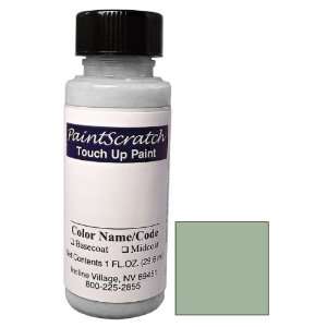  1 Oz. Bottle of Silverstone Metallic Touch Up Paint for 