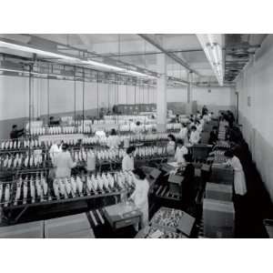  Interior of a Textile Factory, Numerous Workers in White Smocks 