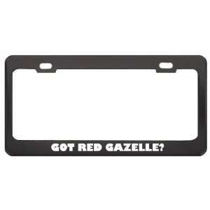 Got Red Gazelle? Animals Pets Black Metal License Plate Frame Holder 