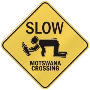   SLOW  MOTSWANA CROSSING  BOTSWANA