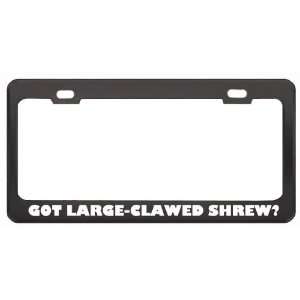 Got Large Clawed Shrew? Animals Pets Black Metal License Plate Frame 
