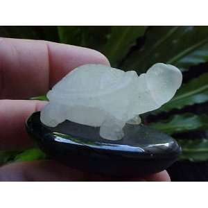  Zs5806 Gemqz Frosted Quartz Carved Turtle in Black Base 
