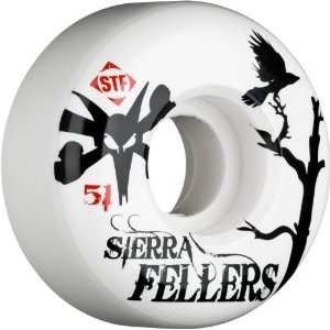  Bones STF Street Tech Formula Skateboard Wheels (Sierra 