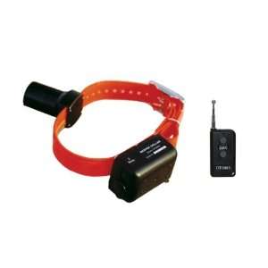    DT Systems BTB 809 Baritone Beeper Collar with Remote