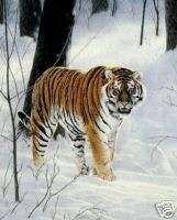 Siberian Tiger Charles Frace Wildlife Kittens Print  