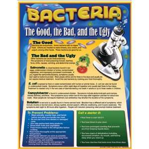  Chartlets Bacteria The Good The Bad
