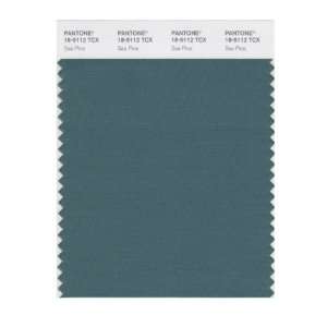   PANTONE SMART 18 5112X Color Swatch Card, Sea Pine