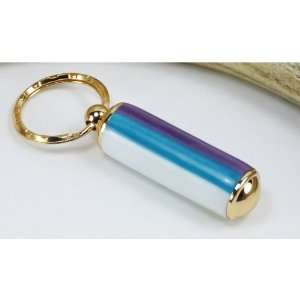  Rainbow Acrylic Pill Case With a Gold Finish Office 
