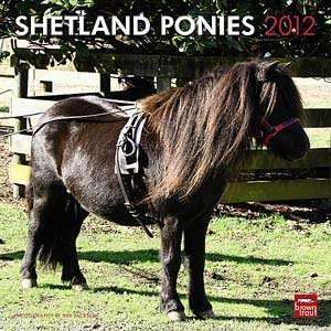  2012 Shetland Ponies Calendar