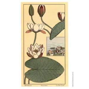  Water Lily II   Poster by M. P. Verneuil (10x18)