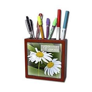  Sanders Flowers   Happiness Daisy Flowers Inspirational Quotes 