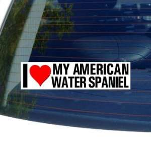   AMERICAN WATER SPANIEL   Dog Breed   Window Bumper Sticker Automotive