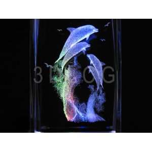  Dolphins Ridng Waves 3D Laser Etched Crystal A2 