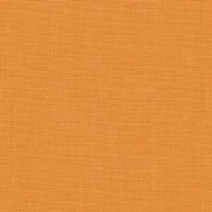  61 Wide Movida Cotton Broadcloth Apricot Fabric By The 