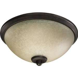  Quorum 2389 9144 Alton Ceiling Fan Light Kit in Toasted 