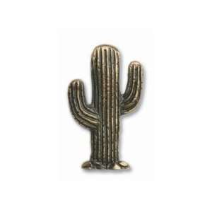 Saguaro Cactus Pull