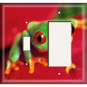  Switch / Rocker Plate   Frog Runt