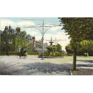  1910 Vintage Postcard Princes Avenue   Hull England UK 
