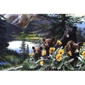  Basking in the Balsam   Poster by Kevin Daniel (36x24 