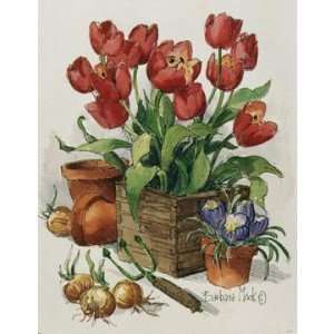 Tulips In Bloom   Barbara Mock 6x8
