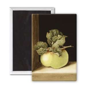  Apple (w/c on paper) by Jenny Barron   3x2 inch Fridge 
