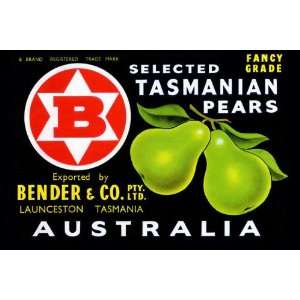  Bender & Co. Selected Tasmanian Pears 20x30 poster