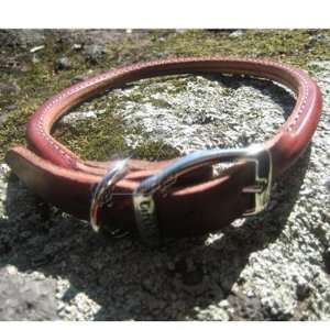  Circle T Leather Dog Collar Rolled Latigo 12 inch Pet 