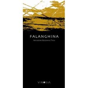  2010 Vinosia Falanghina Igt 750ml Grocery & Gourmet Food