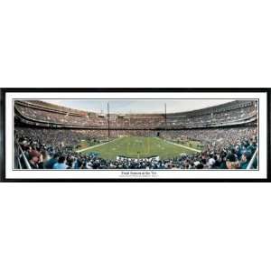  Final Season at Vet Eagles 9.5x27 Panoramic Photo Sports 