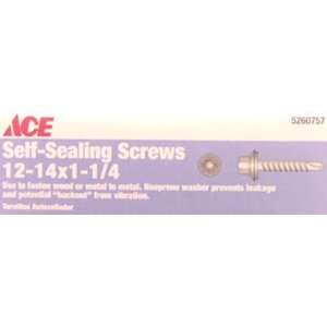  Gilmour ACE DRYWALL SCREWS 46556ACE SCR SLFDR HX#12 14X1 1 
