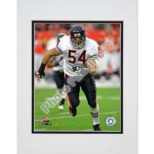  File Chicago Bears Brian Urlacher Matted Photo
